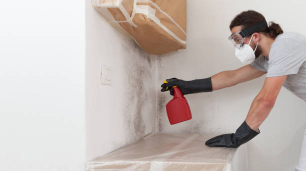 Professional Crawl Space Mold Removal technician working in Winterville, GA