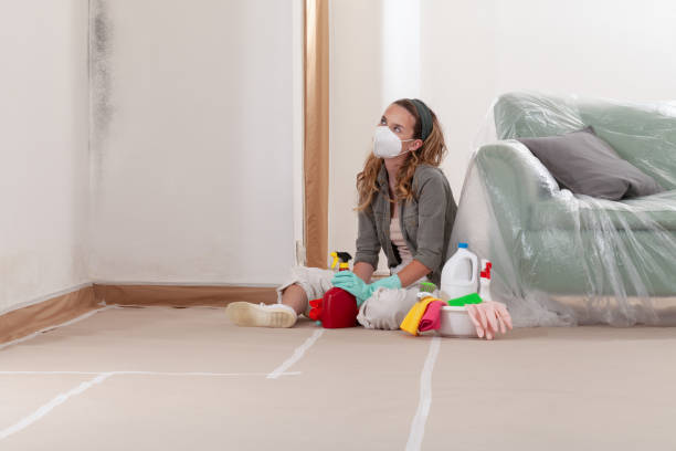 Reliable Crawl Space Mold Removal contractor in Winterville, GA by WQB Mold Removal
