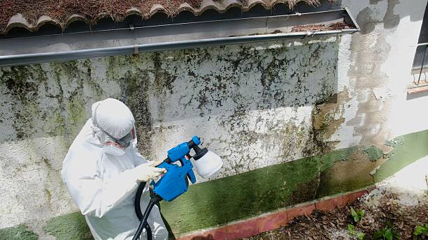 Top rated local Crawl Space Mold Removal specialists in Winterville, GA